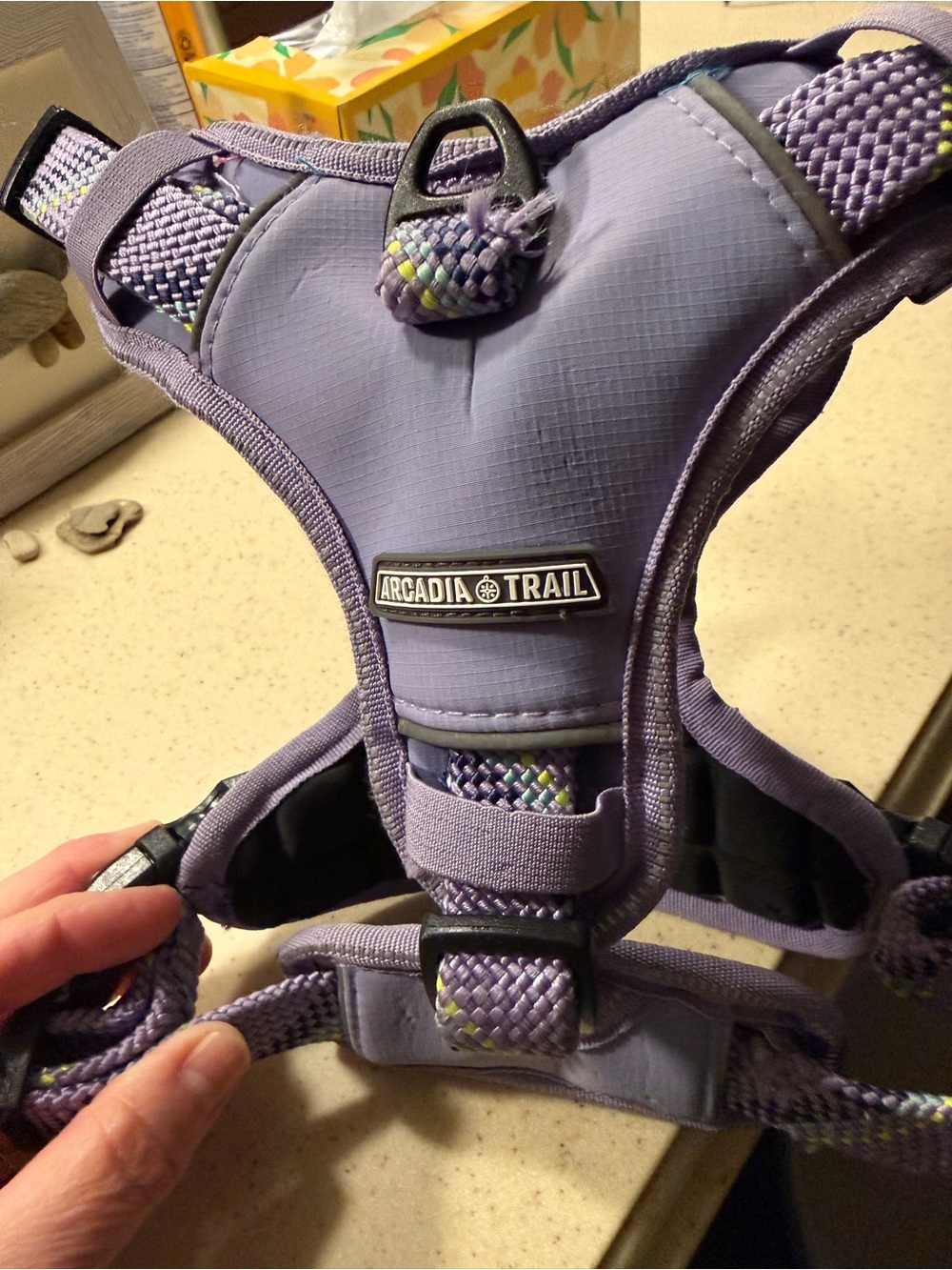 Arcadia Trail Lavender Padded Dog Harness